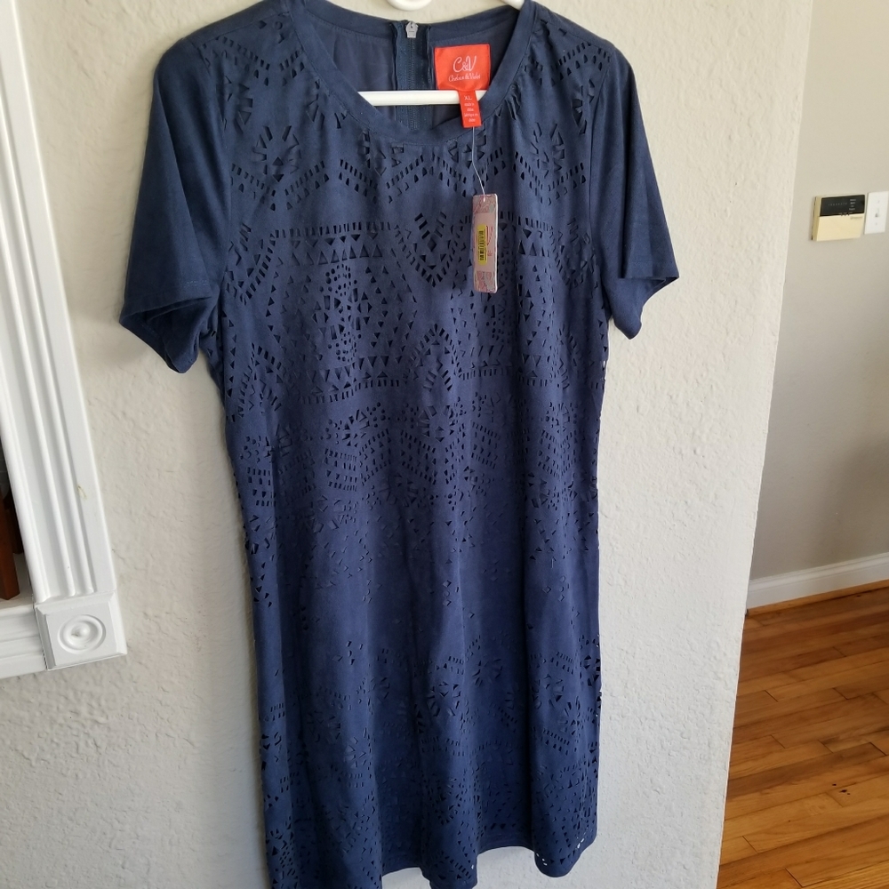 NWT Chealsea and Vilot blue dress
